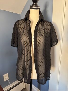 Sheer Black Swiss Dot Button-Down Blouse